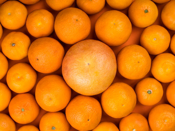 istock Fresh orange citrus fruits as background 1372658129