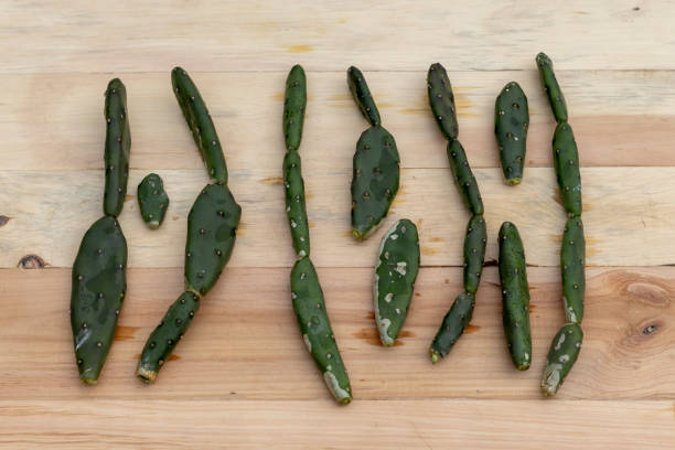 istock Opuntia quimilo plant pads or leaves 1372659169