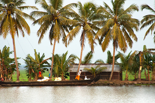 Kochi, Kerala Backwaters, India: Water's Edge with Palms, Boat, People