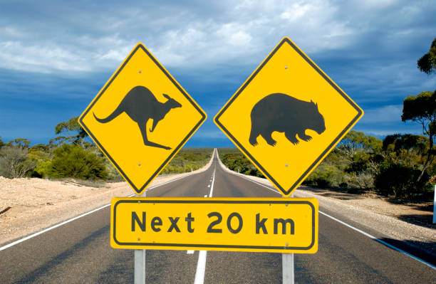 istock The Eyre highway across the Nullarbor plains. 1372679322