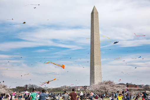 Washington, DC/USA - March 30, 2019: Families gather to fly kites in front of the Washington Monument during the annual Cherry Blossom Kite Festival in Washington, DC