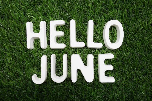 istock Hello June alphabet letter on green grass background 1372692224