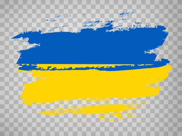 flag ukraine, brush stroke background.  flag of ukraine on transparent background your web site design, app, ui.  eps10. - kiev 幅插畫檔、美工圖案、卡通及圖標