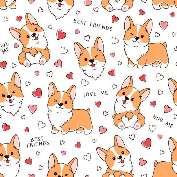 ilustraciones, imágenes clip art, dibujos animados e iconos de stock de patrón vectorial sin costuras con lindos perros y corazones corgi galeses. ilustraciones coloridas sobre fondo blanco - corgi galés pembroke