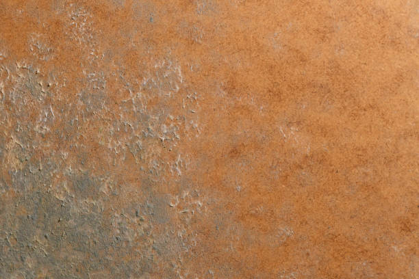 istock Fungal mold growing on furniture 1372701949
