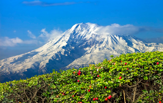Una hermosa vista de la montaña Ararat. photo