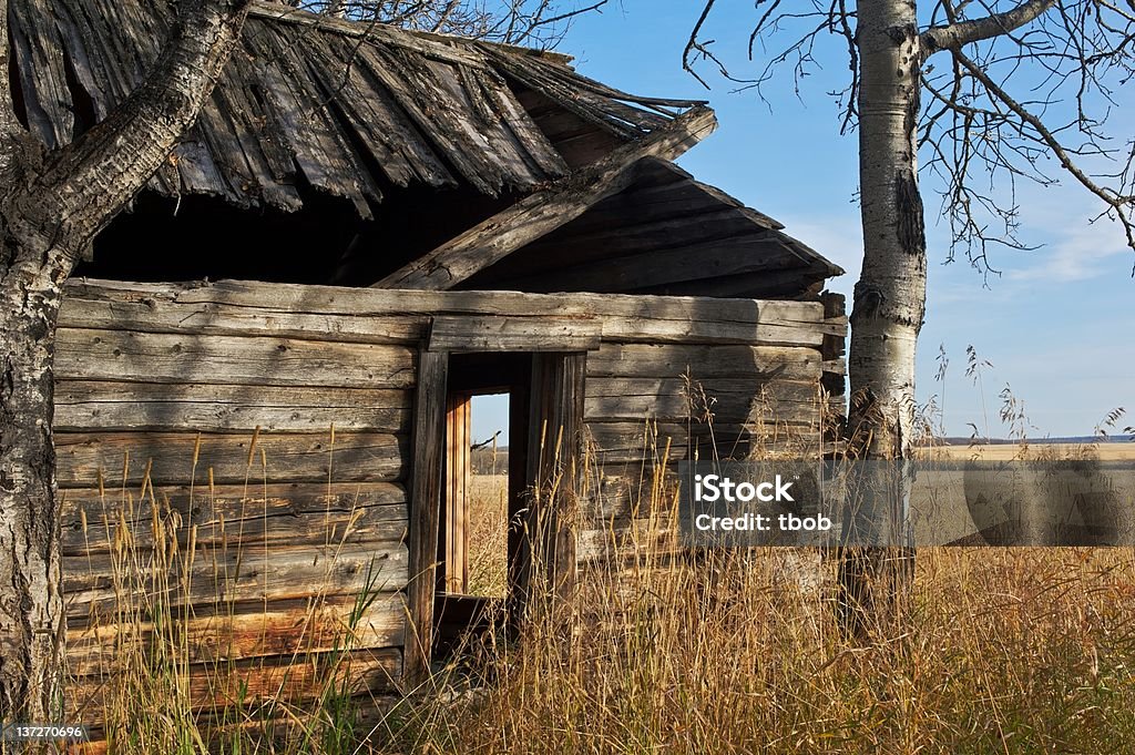 Alten verlassenen Bauernhaus: Blockhütte Blick auf Mauer und - Lizenzfrei Agrarbetrieb Stock-Foto