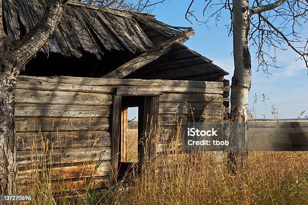 Alten Verlassenen Bauernhaus Blockhütte Blick Auf Mauer Und Stockfoto und mehr Bilder von Agrarbetrieb