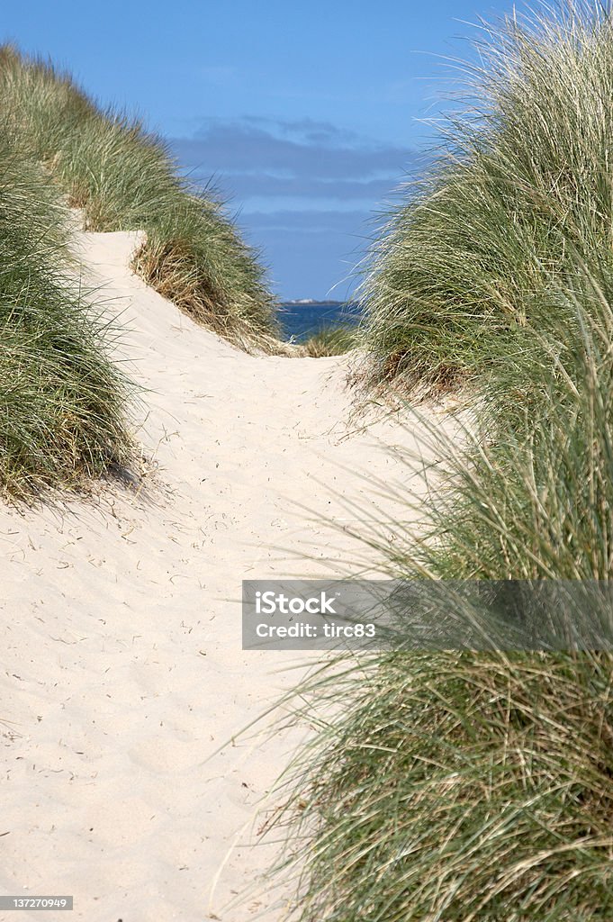 Camino a través de las dunas de arena - Foto de stock de Abandonado libre de derechos