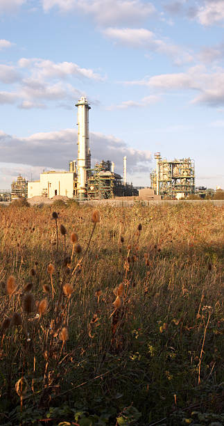 Industrial plant portrait