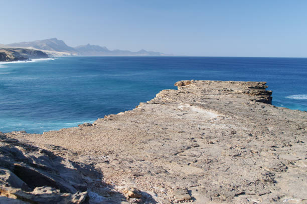istock Sea coast Canary islands 1372715841