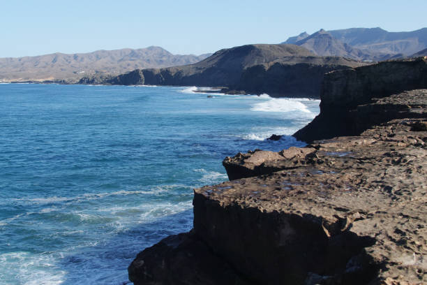 istock Sea coast Canary islands 1372715857