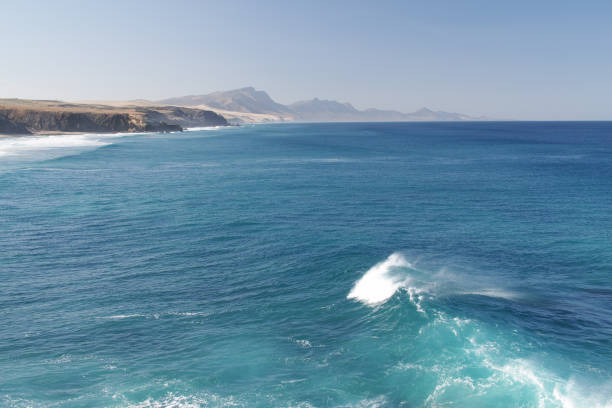 istock Sea coast Canary islands 1372715927