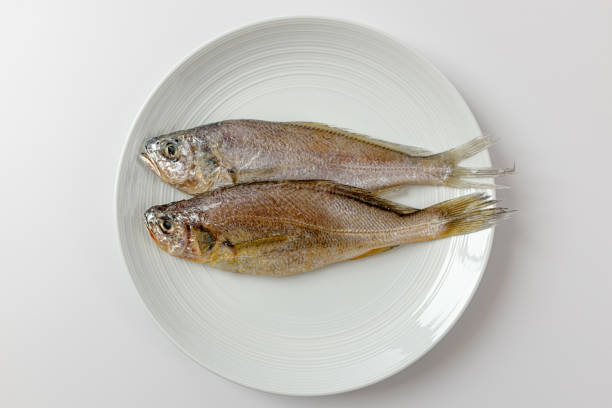 dried yellow corvina