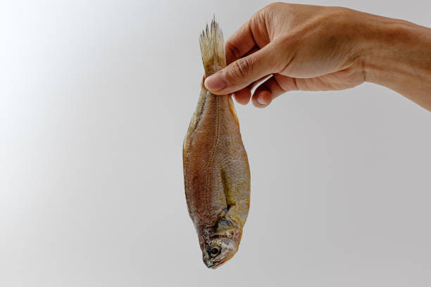 istock dried yellow corvina 1372715977