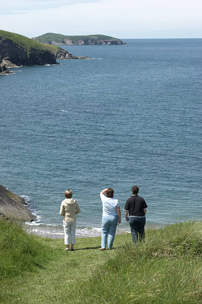 istock Dolphin spotting from the headland 137271788