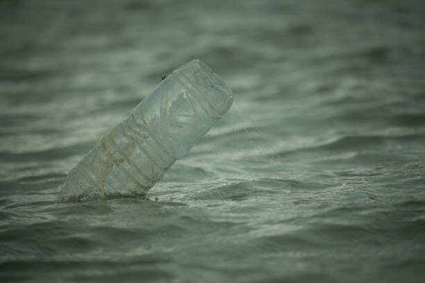 istock Plastic bottles are being used in fishing nets 1372720003