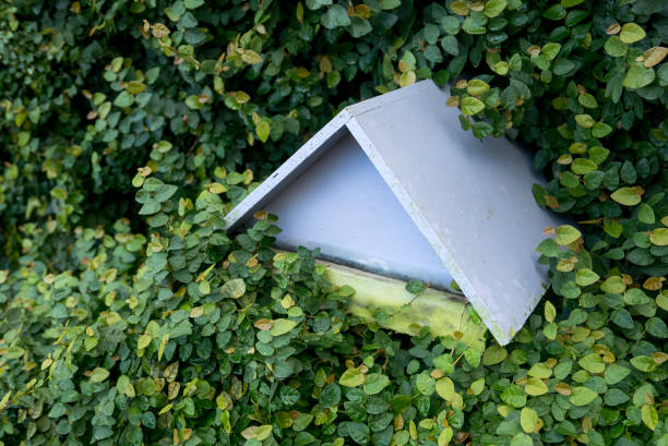 istock Miniature wooden house in between leaf plant. 1372721792