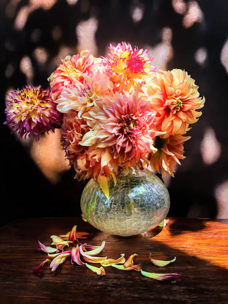 istock Romantic bouquet with dahlias in sun light 1372723332
