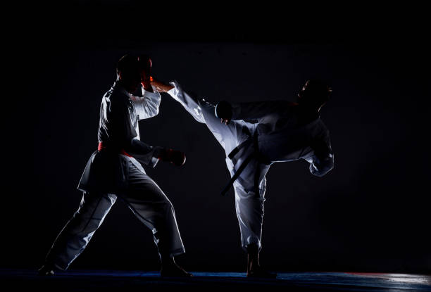 istock An image of a taekwondo martial arts master 1372723718