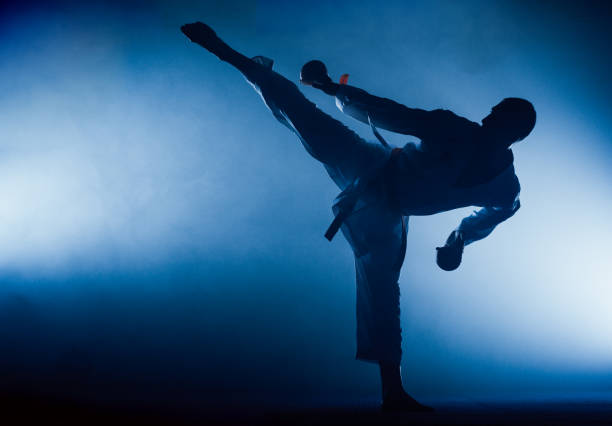 istock Martial arts master on fight training in gym 1372727115