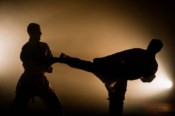 istock An image of a taekwondo martial arts master 1372727118