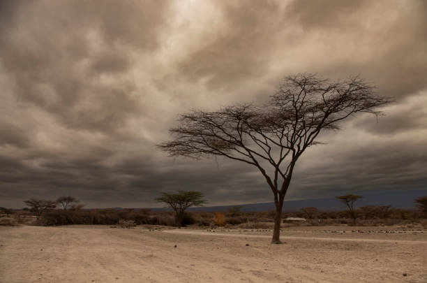istock Alterot Town before a desert storm 1372729138