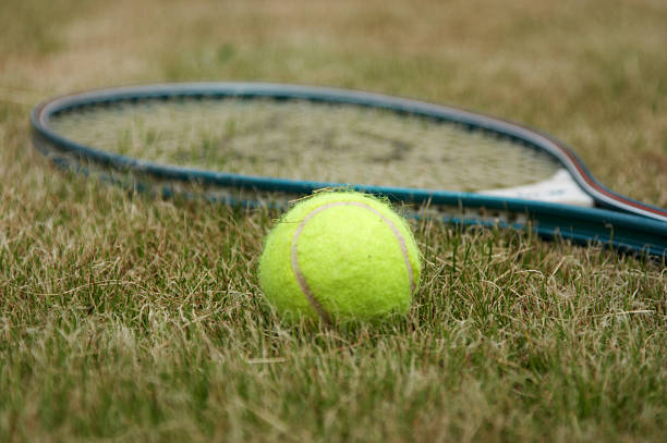 istock Anyone for tennis 137273464