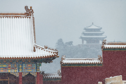 Cornices and dragon shaped columns of the Forbidden City