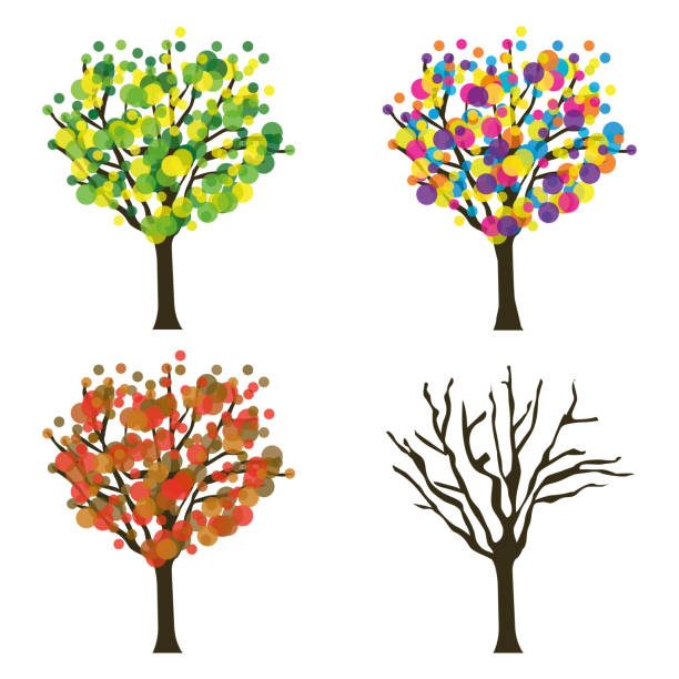 ilustraciones, imágenes clip art, dibujos animados e iconos de stock de árboles de cuatro estaciones. conjunto vectorial. - autumn leaf white background land