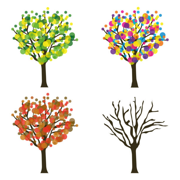 Four seasons trees. Vector set. Four seasons trees. Vector set. variegated foliage stock illustrations