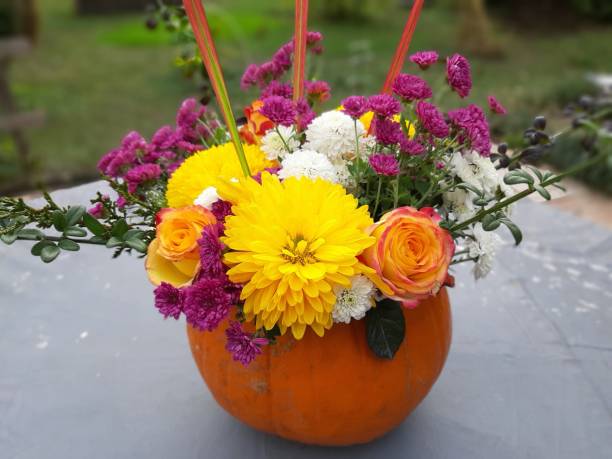 istock Pumpkin art flower 1372740371