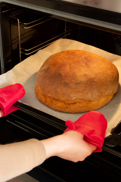 오븐에서 구운 신선한 빵을 만든 홈메이드 - brown bread bread home interior organic 뉴스 사진 이미지