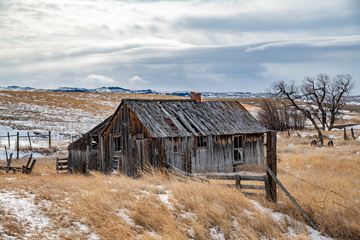 Old abandoned wooden cabin of the wild west USA in tiny town of Two Dot, Montana near the dangerous Crazy Mountains. This is in northwestern United States of America's (USA) old wild west of endless prairies, rolling hills and majestic snow capped mountains.