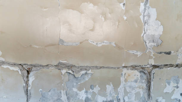 istock rough white concrete surface background. old plaster. cracks on the wall 1372748812
