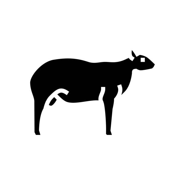 stockillustraties, clipart, cartoons en iconen met texel sheep glyph icon vector illustration - texel