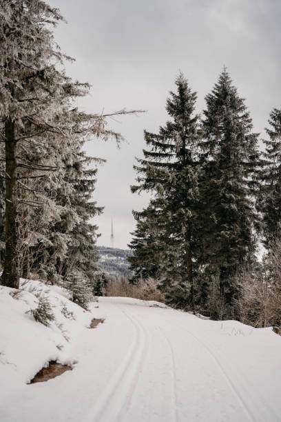 istock snow day in the Black Forest 1372750782