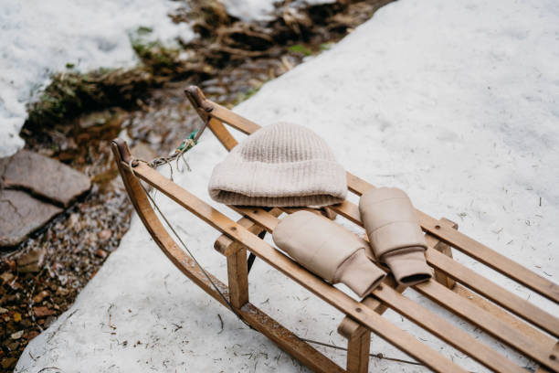 snow day in the Black Forest
