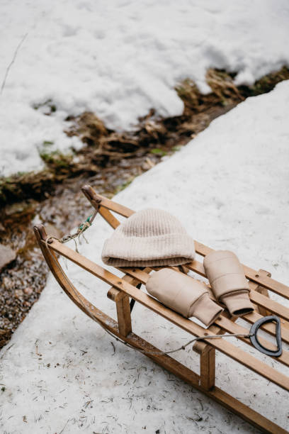 istock snow day in the Black Forest 1372751459