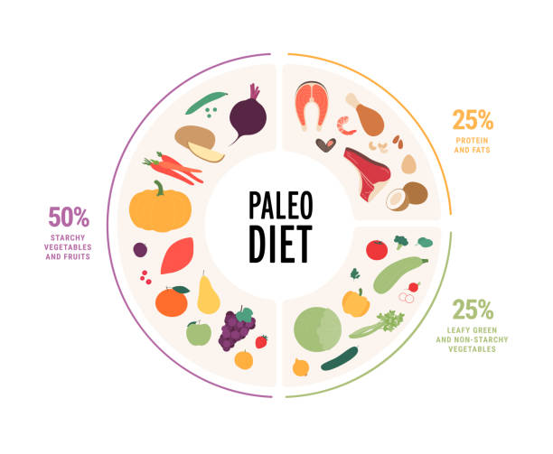 ilustraciones, imágenes clip art, dibujos animados e iconos de stock de concepto de guía alimentaria. vector plano ilustración moderna. infografía del plato de alimentos de la dieta paleo con etiquetas de porcentaje. colorido conjunto de iconos de alimentos de frutas verduras, frutas, carne en marco circular. - dieta paleolítica