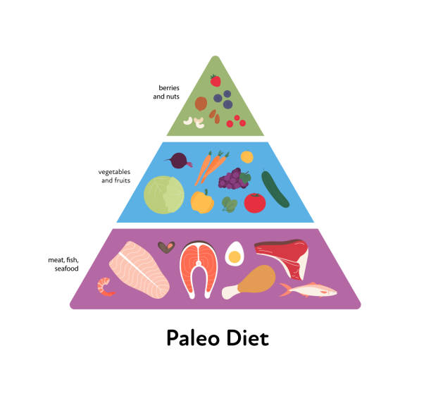 フードガイドコンセプト。ベクターフラットモダンイラスト。パレオダイエットピラミッドインフォグラフィック。ベリー、ナッツ、野菜、果物、肉、魚、魚、魚のカラフルな食品アイコン� - asparagus vegetable white background freshness点のイラスト素材／クリップアート素材／マンガ素材／アイコン素材