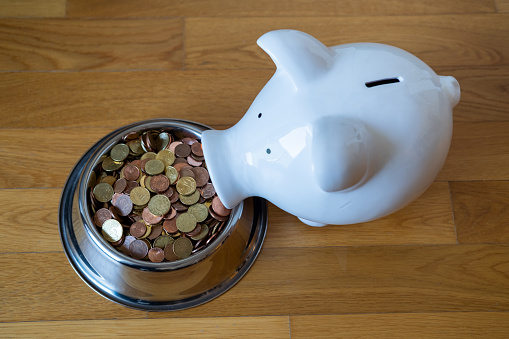 Piggy Bank eating coins