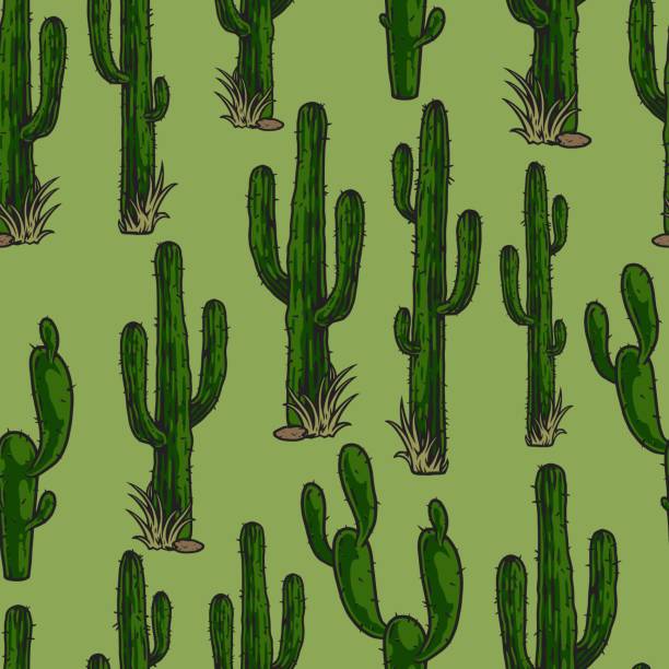 колючие кактусы на зеленом фоне - grass nature dry tall stock illustrations