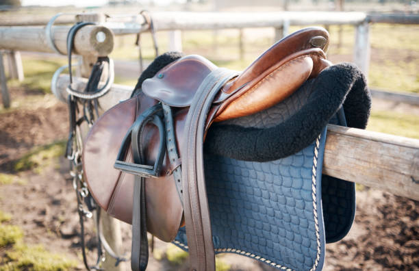 istock Shot of a saddle on a pole outside 1372767024