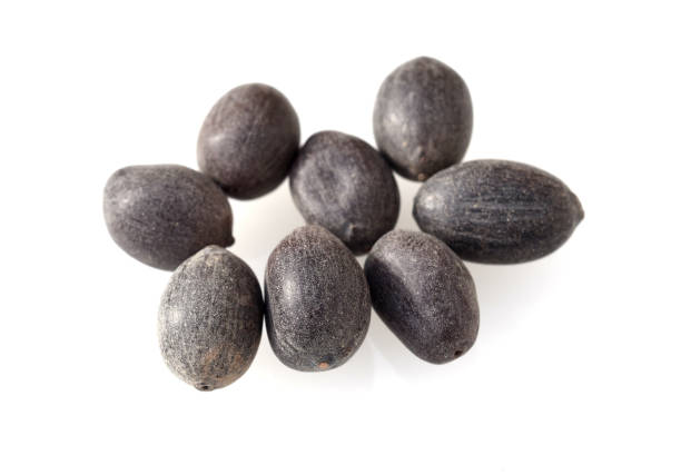 istock Lotussamen, Lotus nucifera 1372769345
