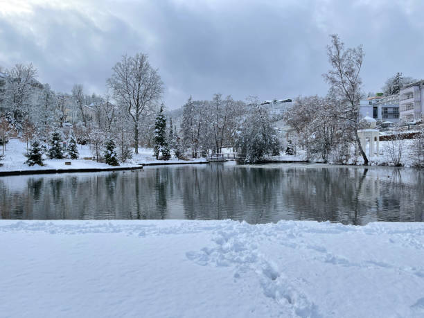 istock Kurpark, Winter, Bad Schwalbach 1372770692