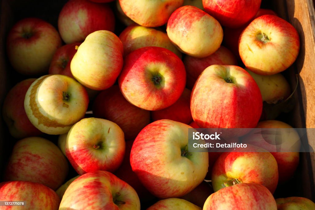 Fresh red and yellow apples at a market stall, Germany Bremen Stock Photo
