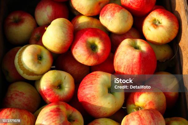 Fresh Red And Yellow Apples At A Market Stall Germany Stock Photo - Download Image Now