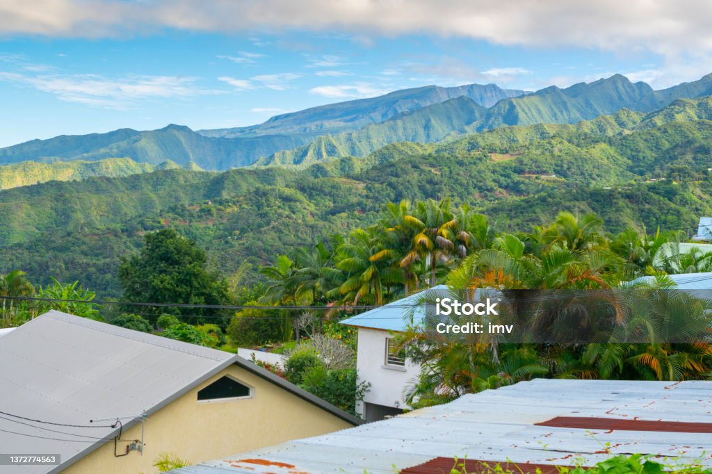 Reunion iIsland village, roofs and fields, palm trees and mountains int he horizon. Reunion island typical village, with metallic roofs, palm trees, and fields qieh vegetables growing. 

Volcanic slopes in the horizon Agricultural Field Stock Photo