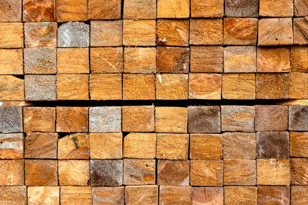 Close-up of cut edges of square, stacked wooden boards